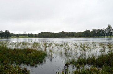 A grey and misty autumn day  Pobledzie Jezioro (Pablindszer See)