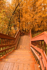 Fototapeta na wymiar Wooden stairs with leaves in the autumn forest