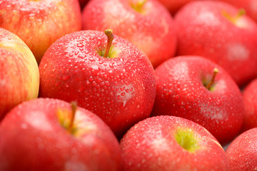Red ripe apples with water drops background