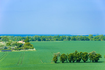 Landschaft am Fehmarnsund, Fehmarn, Ostsee, Schleswig-Holstein,