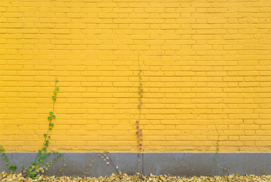 Yellow Wall