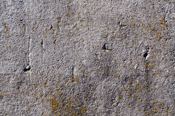 Old cement wall with moss.