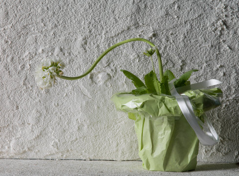 traurige Blume