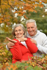 Senior couple in autumn park