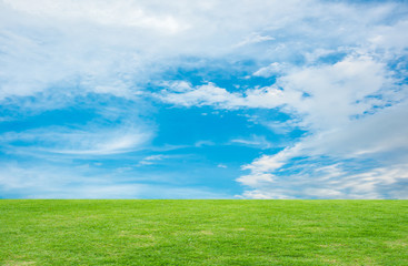 Fototapeta na wymiar Natural green field with a blue sky holiday.