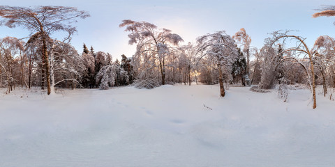 360 degree spherical panorama from Siberia Russian Winter. Winter snow-covered meadow surrounded by forest. Winter frosty landscape at dawn.