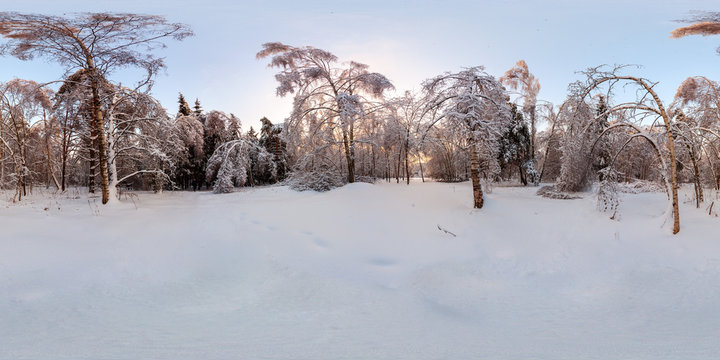 360 degree spherical panorama from Siberia Russian Winter. Winter snow-covered meadow surrounded by forest. Winter frosty landscape at dawn.