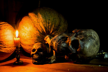 Still Life with skull, candle and Pumpkin
