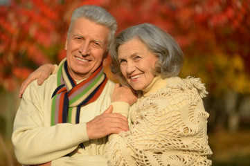 Senior couple in autumn park