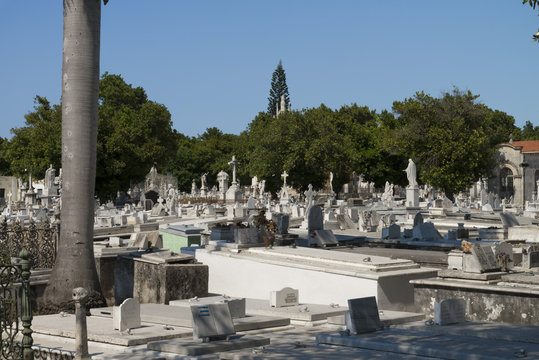  Kuba, Havanna; Friedhof  " Necropolis Cristobal Colon "