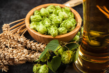 Beer glass on dark background