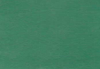 Fototapeta premium Green color plastic texture.