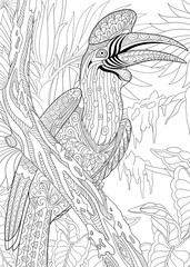 Stylized cartoon exotic and tropical rhinoceros hornbill bird (Buceros rhinoceros). Freehand sketch for adult anti stress coloring book page with doodle and zentangle elements.
