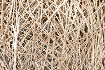 Pattern of the twigs wall background.