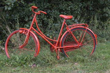 Fototapeta na wymiar Red Bike in the Foresst