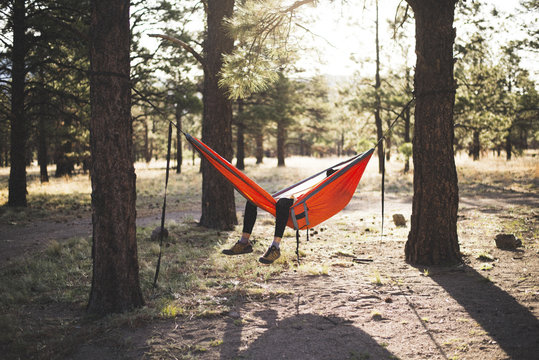Woman relaxing on hammock in forest - Powered by Adobe