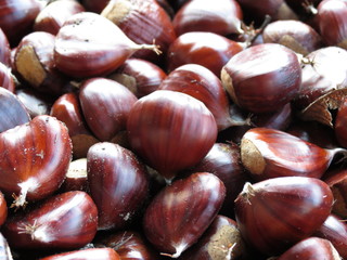 castagne