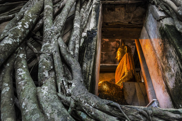 Fototapeta premium Buddha statue church old brick wall and tree root in Wat Bang Ku
