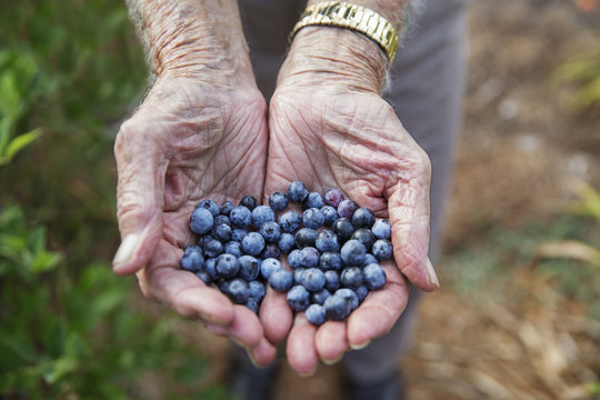 Cropped image of man with blueberries