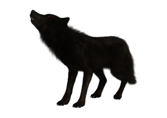 3D Rendering Black Wolf on White
