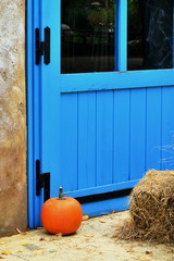 pumpkins, autumn, halloween