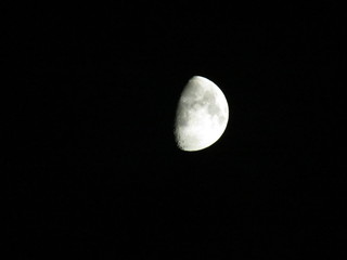 Luna © lk_photo