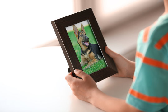 Little boy holding photo frame with picture of dog. Happy memories concept.