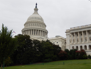 Obraz premium The United States Capitol Building, the eastern facade with the dome from the park, on a cloudy day in Washington DC.