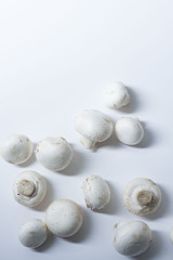 composition with mushrooms