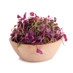 red spinach isolated on white background.