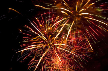 Colorful fireworks in the night sky