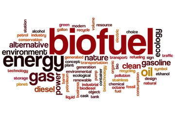 Biofuel word cloud