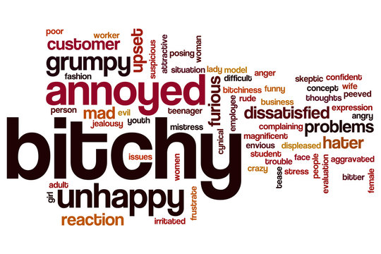 Bitchy word cloud