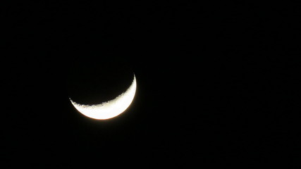 Luna © lk_photo