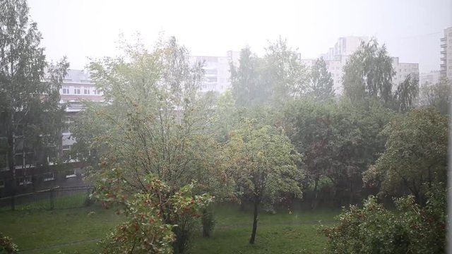 Деревья во дворе обычного дома в летний ливень