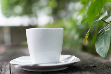 Coffee cup on wood background