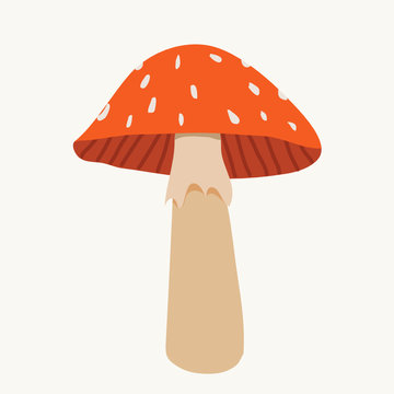 amanita mushroom. vector illustration