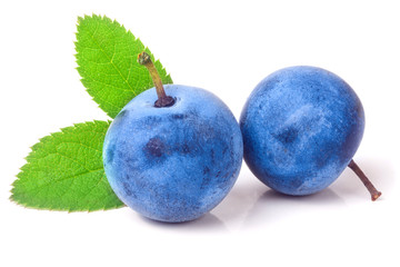 Obraz premium two fresh blackthorn berries with leaves isolated on white background