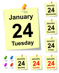 24 January, sheet of calendar. vector