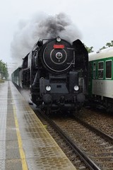 Fototapeta na wymiar Historic steam train. Specially launched Czech old steam train for trips and for traveling.