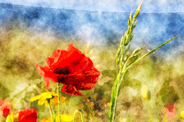 Wildflower Watercolour Painting © Helen Hotson