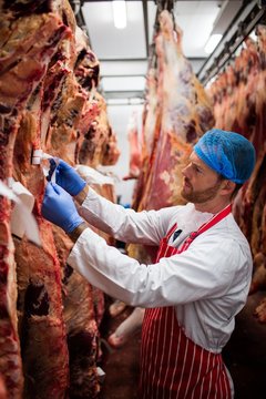Butcher putting tag on meat hanging in storage room
