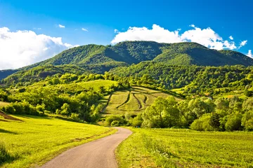 Papier Peint photo Lavable Colline Paysage de printemps sur les collines de Plesivica