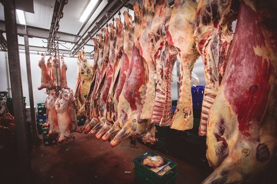 Peeled red meat hanging in the storage room