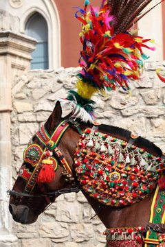 Cavallo bardato a festa