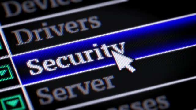 Security. My own design of program menu.