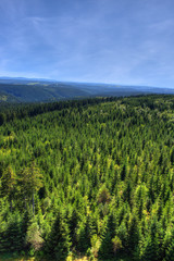 Ausblick über den Thüringer Wald