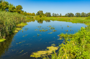 Peaceful landscape with small river Merla at summer season, Poltavskaya oblast,  Ukraine