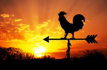 Rooster weathervane against sunrise with bright colors in clouds, concept for early morning wake up - obrazy, fototapety, plakaty