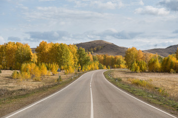 Empty road among colorful autumn forest